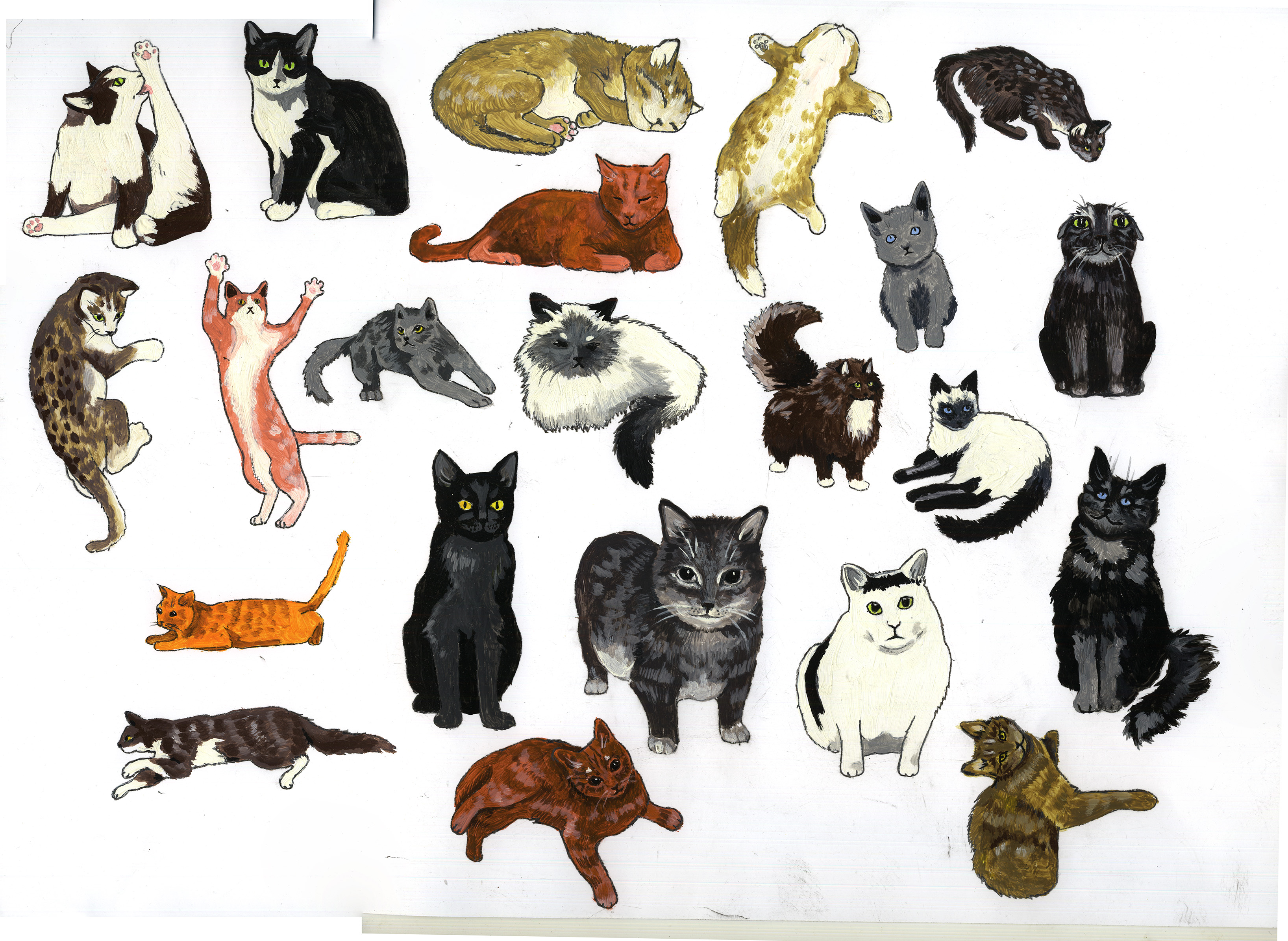 Scanned A3 canvas, photomerged and levels-adjusted